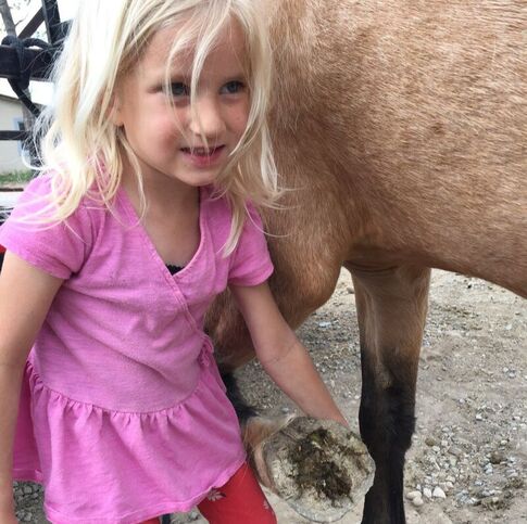 Little girl picking out a horses feet